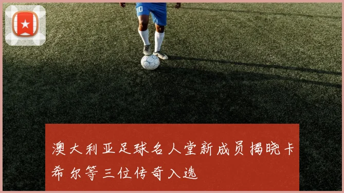 澳大利亚足球名人堂新成员揭晓卡希尔等三位传奇入选