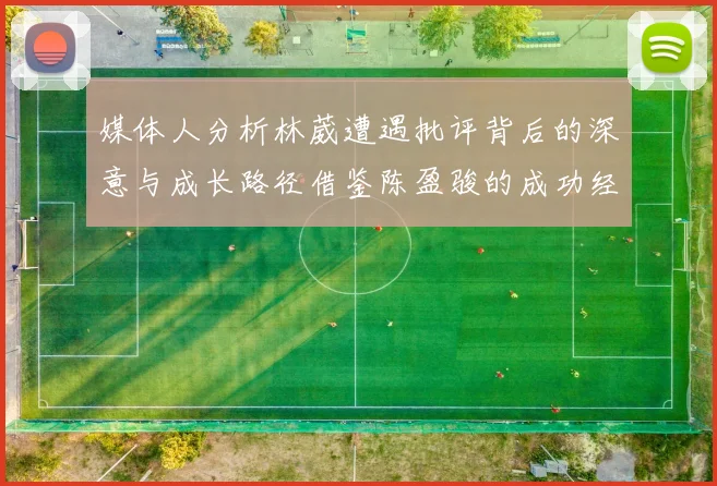 媒体人分析林葳遭遇批评背后的深意与成长路径借鉴陈盈骏的成功经验